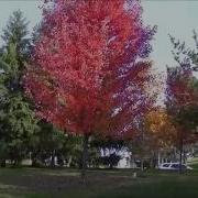 Осеннее Настроение Под Музыку