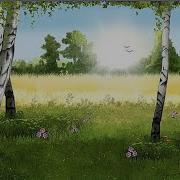 Золотило Солнышко Лес Лес