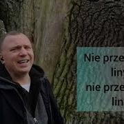 I Znowu Bez Ciebie Noc Cover Седая Ночь По Польски Кавер