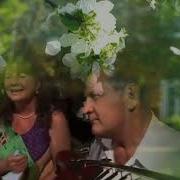 Кружит Голову Мне Вишня