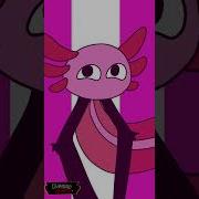 Kinitopet Meme Animation