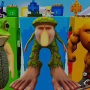 Шедимен
