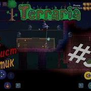 Культист Лунатик Terraria 32