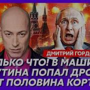 Едет Серый