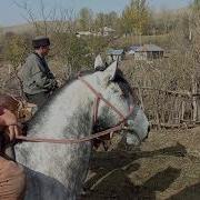 Озгондогу Чон Улак