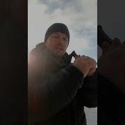 Звук Гуся Для Охоты