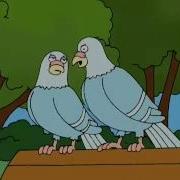 Питер И Мэг Злят Голубей Гриффины Family Guy Приколы Из Гриффинов