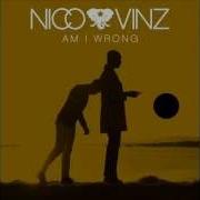 Am I Wrong Radio Edit