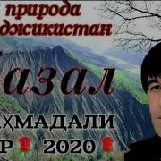 Махмадали Умаров Газал