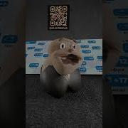 Виключи Его Нах