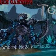 Tera Bam Hunt Slayer Solo Vs Argonomorph Naga Marauder