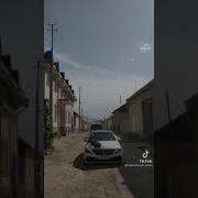 Туй Дар Панчакент Ёри