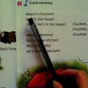 13 Урок Where S Chuckles Где Чаклз Английский Язык По Школьной Программе
