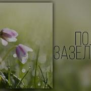 Поля Зазеленели Весны Пришла Пора