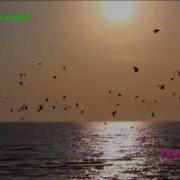 Вальс Морской Волны Тимур Максимов Ноты