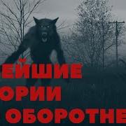 4 Новейших Истории Про Оборотней Историй Из Жизни Людей