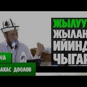 Садыбакас Ажы Доолов Жылуу Сөз Жыланды Ийинден Чыгарат