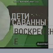 Анонс Карусель Дети Саванны