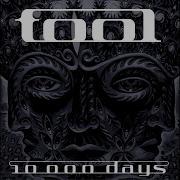 Tool The Pot