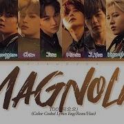 Too Magnolia Lyrics