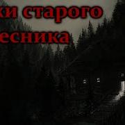 Байки Лесника Страшные Истории