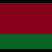Гимн Беларуси Бассбустед
