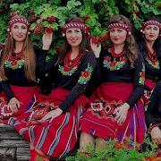 Україночки Красунечки Мінус