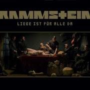 Rammstein Ich Tu Dir Weh Guitar Backing Track