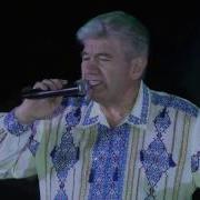 Дунець Пізні Квіти