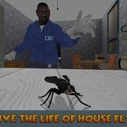 Insect Fly Simulator 3D Gameplay Video Android Ios