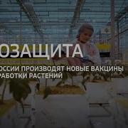 Промо В Цифрах Россия 24
