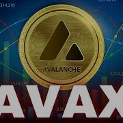 Avaxx 2024