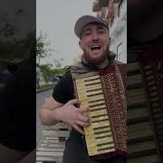 Кавказская Музыка На Аккордеоне