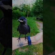 Давай Ещё Разок