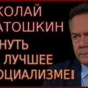 Программа Николая Платошкина