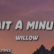 Wait A Minute Willow Smith Remix