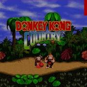 Donkey Kong Country