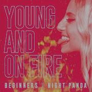 Young And On Fire Night Panda