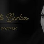 Джета Бурлаку Голуби