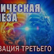 Медитация Шишковидная Железа
