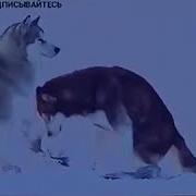 Мы Думаем Что Бог Видит Нас Сверху Но Он Видит Нас Изнутри