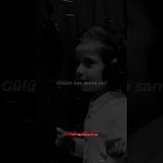 Canımsan От Qalib Şükürov