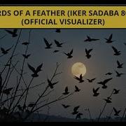 Birds Of A Feather Remix Koki