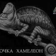 Группа Хамелеон И Прекрасная Песня Моя Любимая