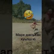 Марх Дастар