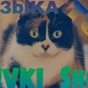 Топ 7 Песен Которые Использует Канал Slivki Show