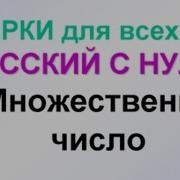 3 Урок Множественное Число В Русском Языке Примеры И Упражнения Русский Как Иностранный Рки