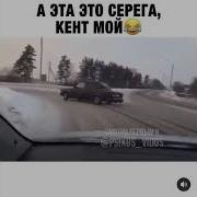 Так Это Же Серый Напарник Мой
