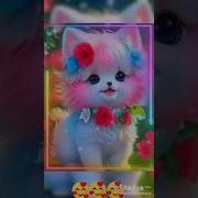 Каро Каро Сочларинга Бойландима