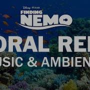 Coral Reef Ambience